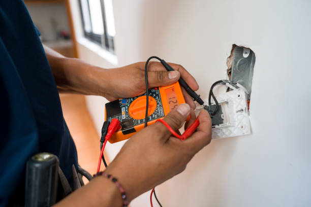 Best Electrical System Inspection  in Weidman, MI