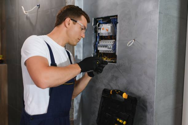 Best Outdoor Lighting Installation  in Weidman, MI
