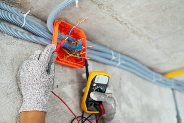 Best Electrical Wiring Services  in Weidman, MI